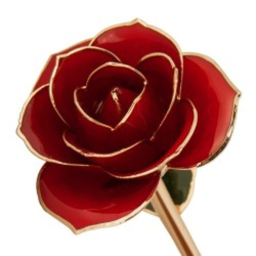 Ravishing Red Rose