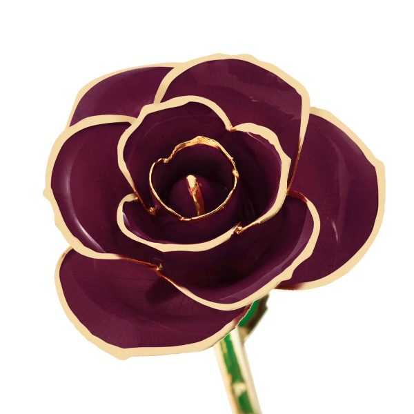 Burgundy Wine