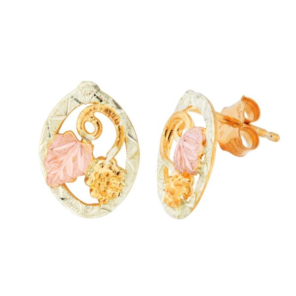 Grapes with Rose Leaf in an Oval Frame