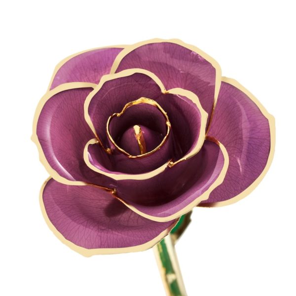 Lovely Lavender