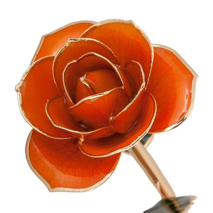 Juicy Orange - R 83970018