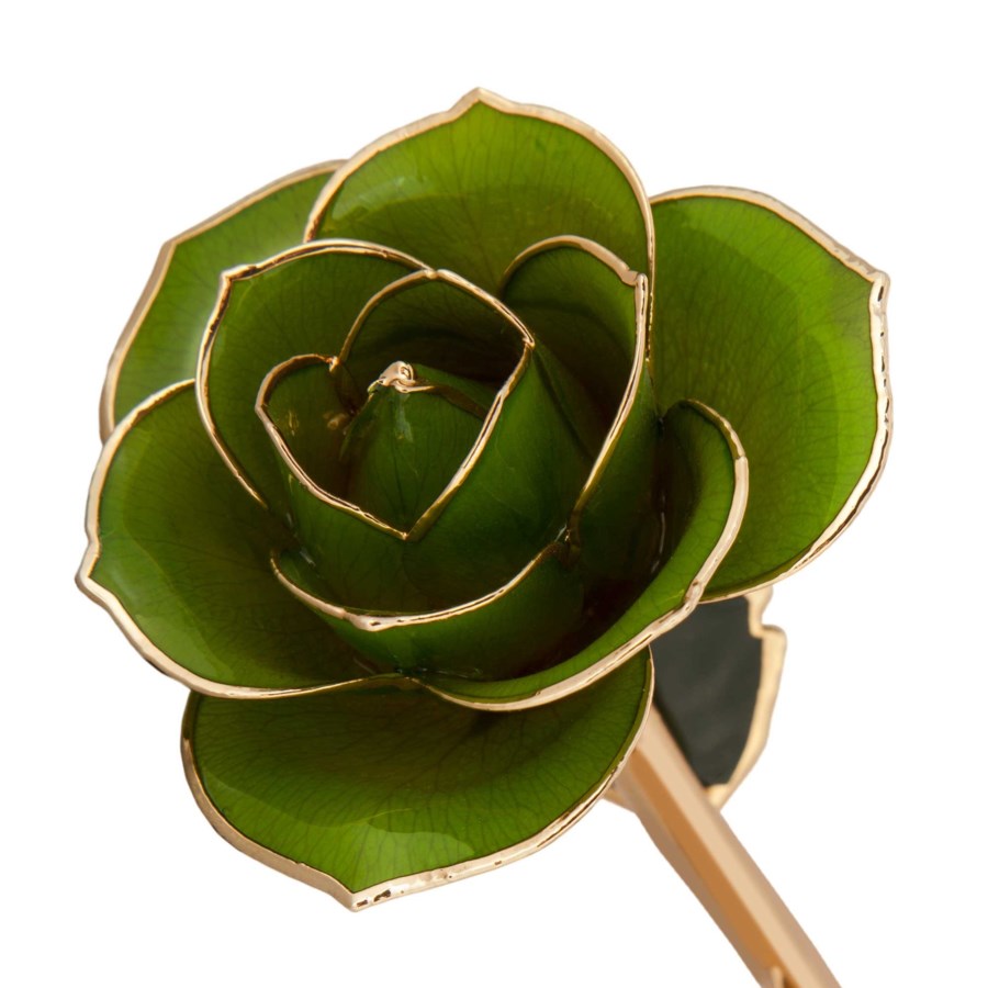 Mossy Green - R 83970034