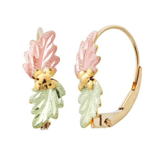 Hoop Clasp Earrings