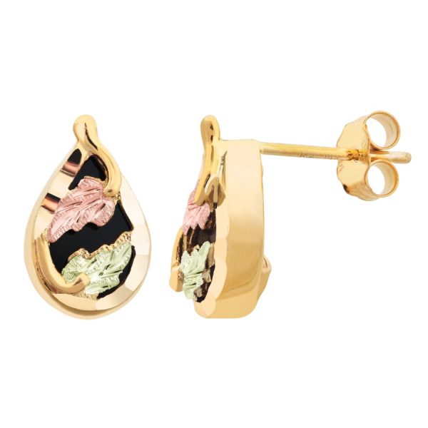 on Black Onyx Teardrop Earrings