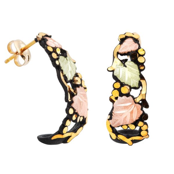 Enameled Brite Cut Earrings