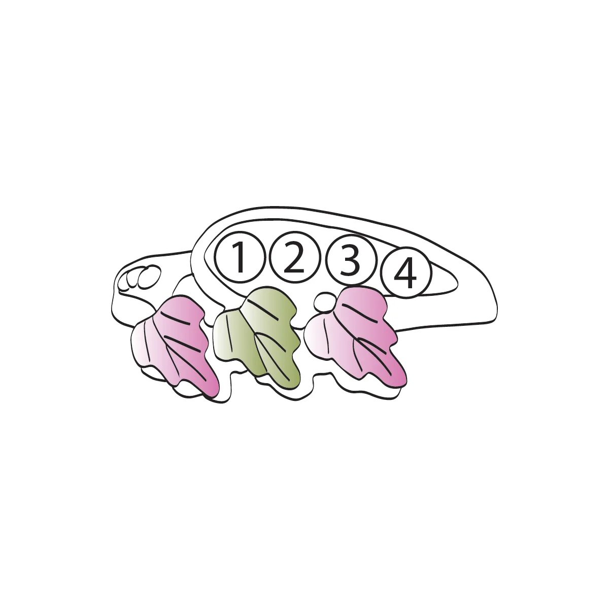 Landstrom’s Original Black Hills Gold Family Jewelry Triple Leaf Ring with 2-6, 2.5mm Synthetic Birthstones - G LLR2251-SY - Image 5